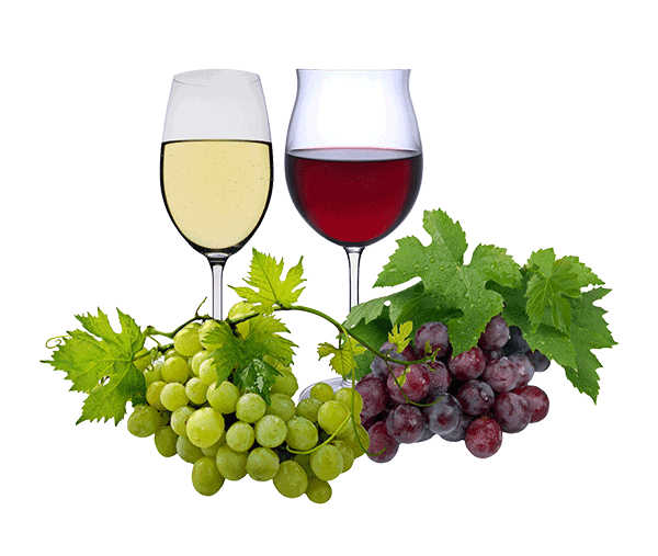 Section vin